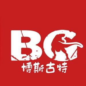 博斯古特科教玩具 开启智慧与创造力的奇妙之旅